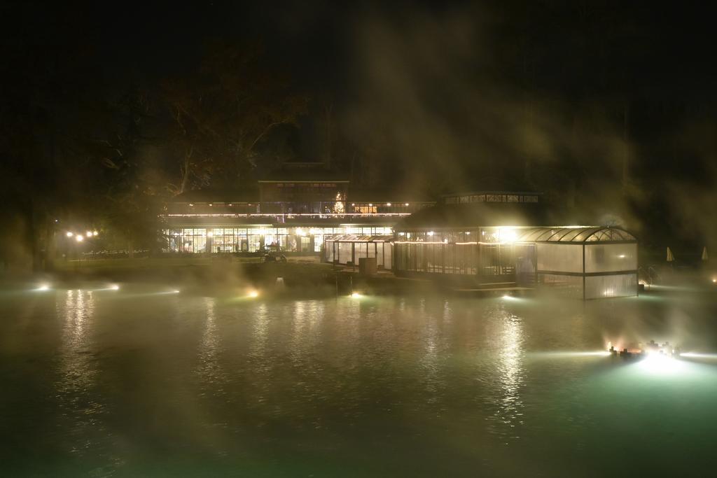 Hotel Parco Termale Di Dei Cedri Lazise
