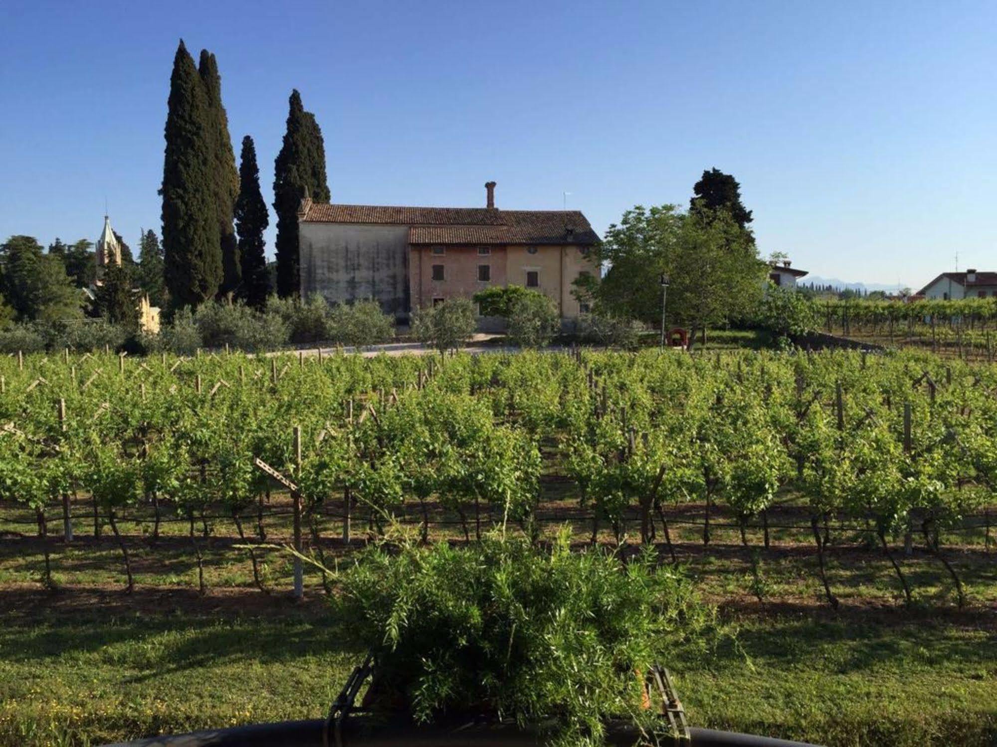 Parco Termale Di Dei Cedri Hotel